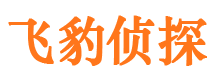 银川婚外情调查取证